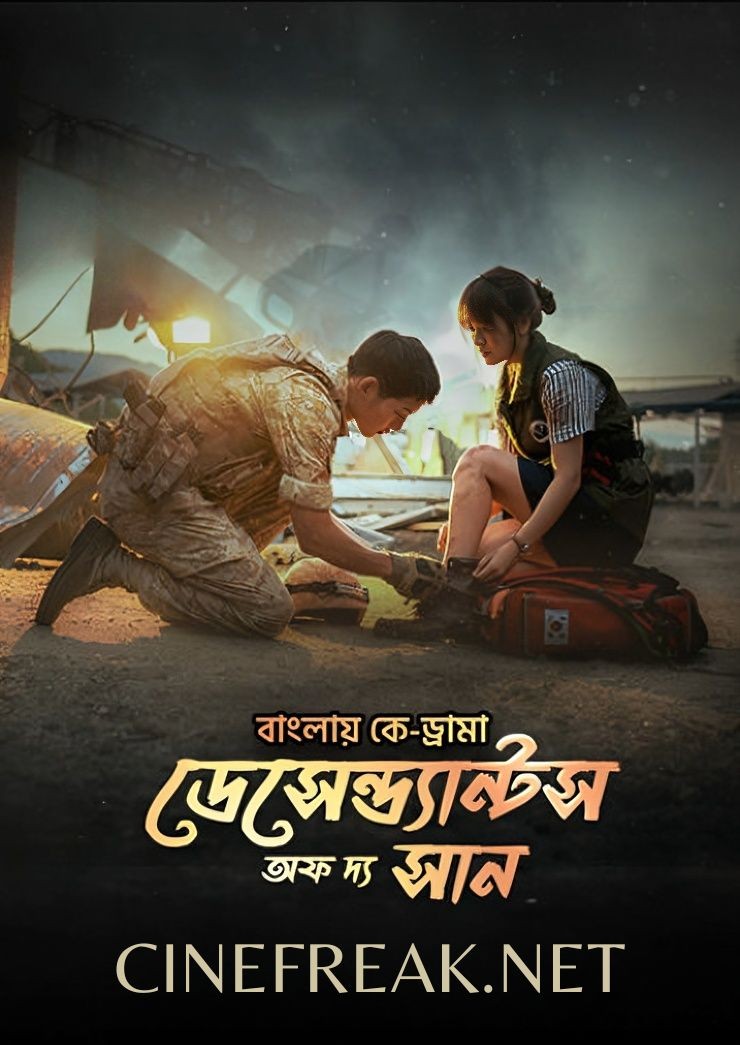 Descendants of the Sun Poster